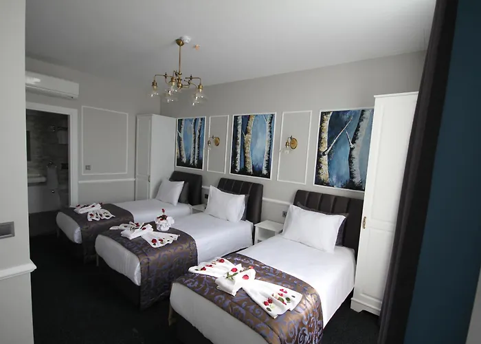 Naumpasa Konagi Hotel 3*