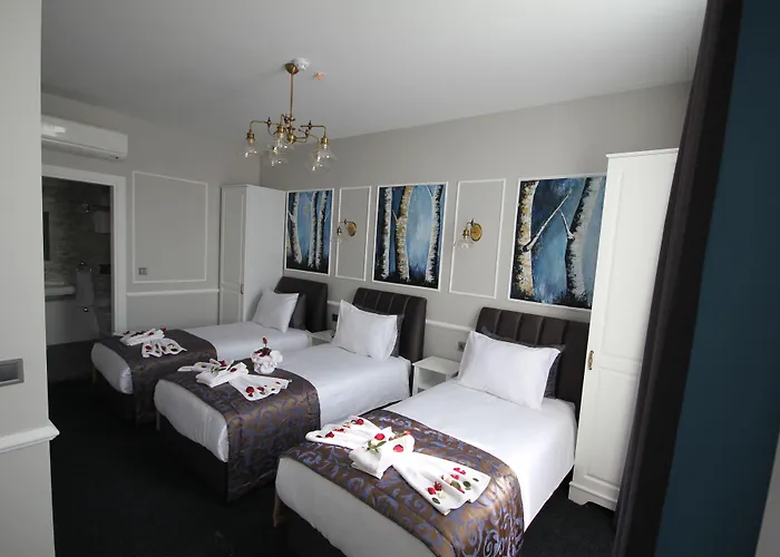 Naumpasa Konagi Hotel Istambul