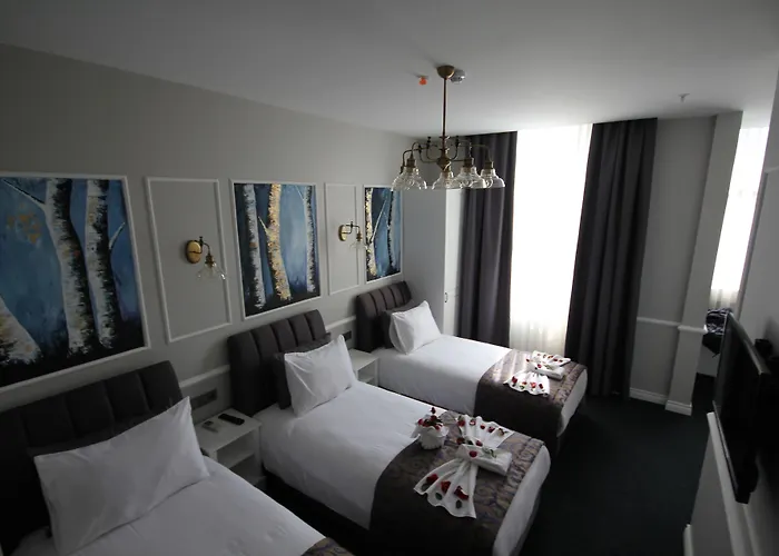 Hotel Naumpasa Konagi Istambul