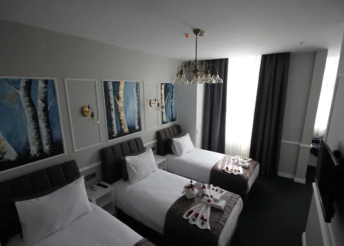 Hotel Naumpasa Konagi Istambul